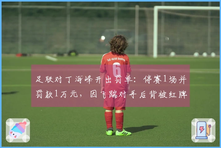 足联对丁海峰开出罚单：停赛1场并罚款1万元，因飞踹对手后背被红牌罚下