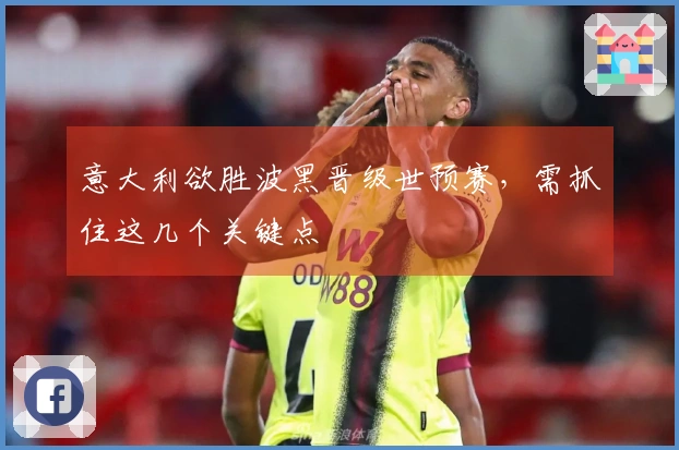 意大利欲胜波黑晋级世预赛，需抓住这几个关键点