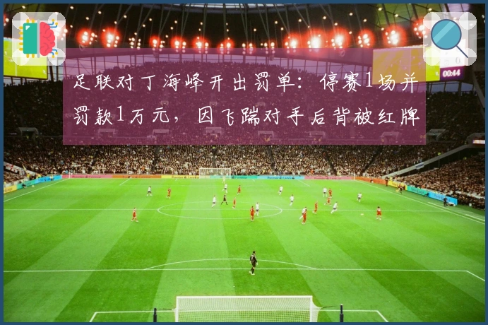 足联对丁海峰开出罚单：停赛1场并罚款1万元，因飞踹对手后背被红牌罚下
